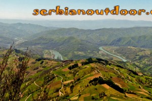 039 Sokolina